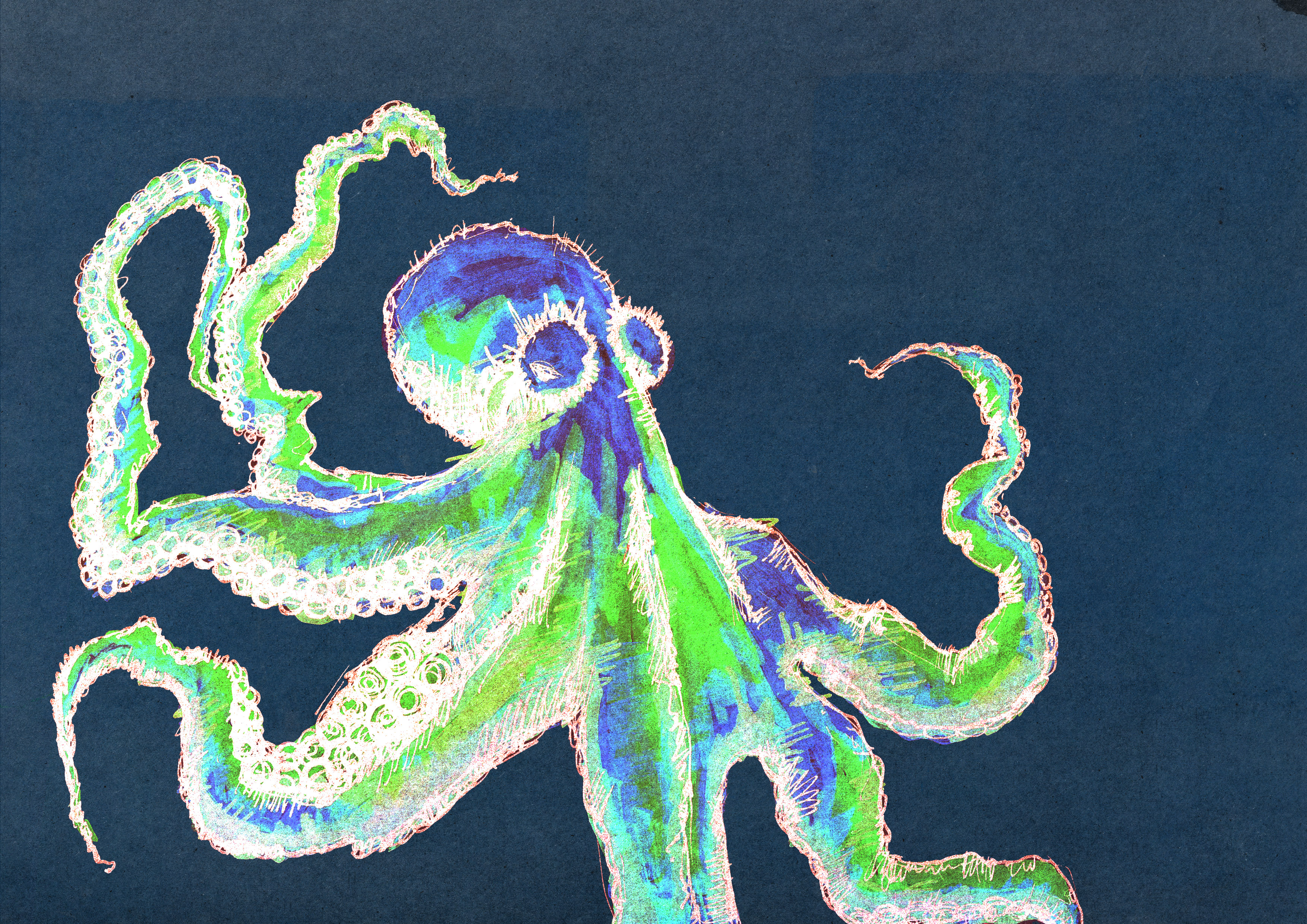 Octopus Records